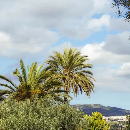 Olivar