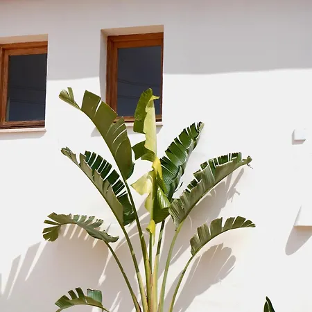 Hotel Olivar